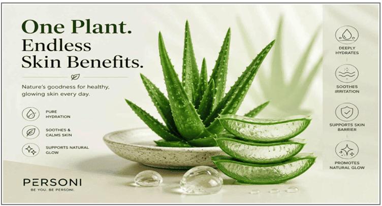 Aloe Vera
